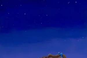 Moments Under The Stars